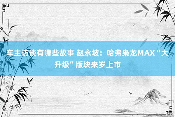 车主访谈有哪些故事 赵永坡：哈弗枭龙MAX“大升级”版块来岁上市