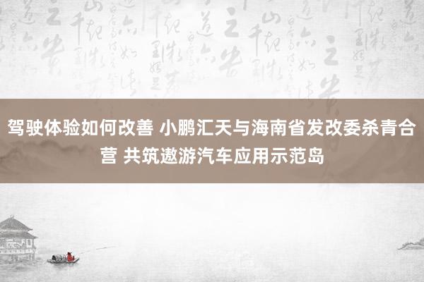 驾驶体验如何改善 小鹏汇天与海南省发改委杀青合营 共筑遨游汽车应用示范岛