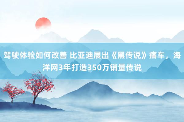 驾驶体验如何改善 比亚迪展出《黑传说》痛车，海洋网3年打造350万销量传说