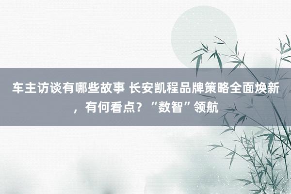 车主访谈有哪些故事 长安凯程品牌策略全面焕新，有何看点？“数智”领航