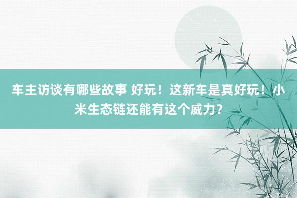 车主访谈有哪些故事 好玩！这新车是真好玩！小米生态链还能有这个威力？