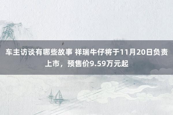 车主访谈有哪些故事 祥瑞牛仔将于11月20日负责上市，预售价9.59万元起