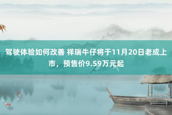 驾驶体验如何改善 祥瑞牛仔将于11月20日老成上市，预售价9.59万元起