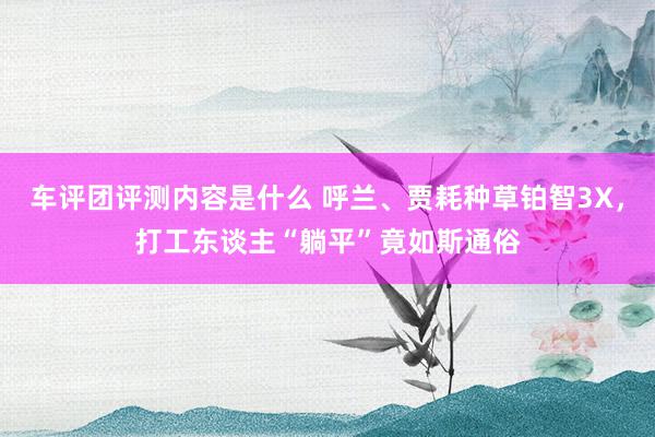 车评团评测内容是什么 呼兰、贾耗种草铂智3X，打工东谈主“躺平”竟如斯通俗