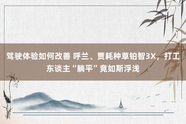 驾驶体验如何改善 呼兰、贾耗种草铂智3X，打工东谈主“躺平”竟如斯浮浅