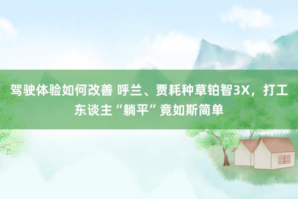 驾驶体验如何改善 呼兰、贾耗种草铂智3X，打工东谈主“躺平”竟如斯简单